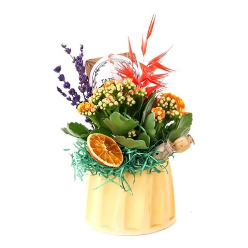 Orange Tiny Miracle Kalanşo