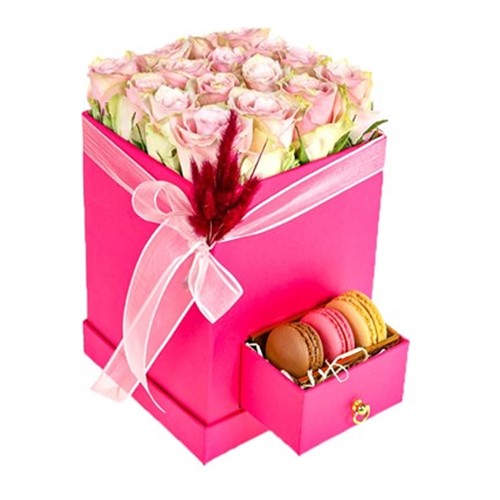 Pink Rose İn Makaron