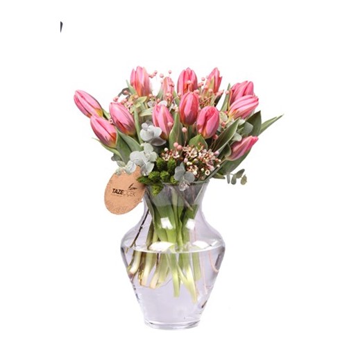 Pink Tulips - Lale