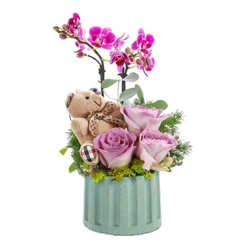 Pretty Pastel Orkide Aranjmanı