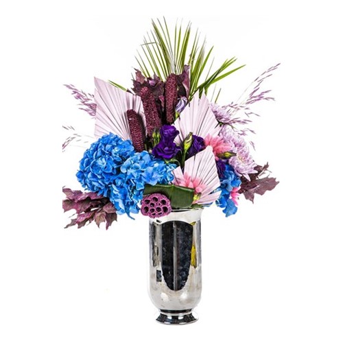 PRO & Vibrant Colors