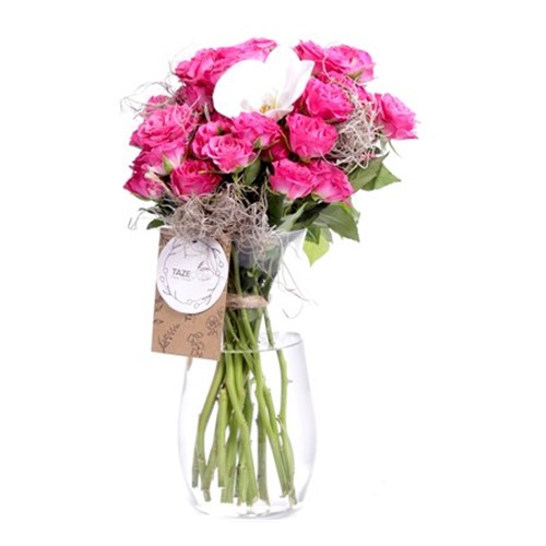 Pure Pink Roses & Orkide