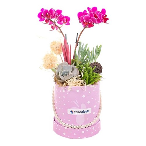 Purple Fairytale Orkide Aranjmanı