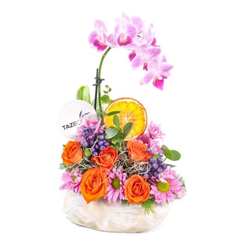 Rich Color Orkide Aranjmanı