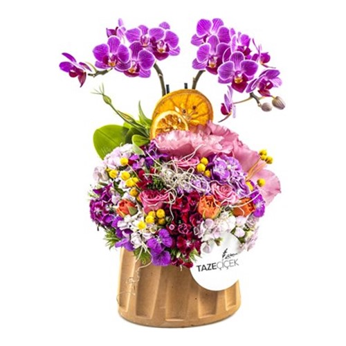 Rio Orkide Aranjmanı