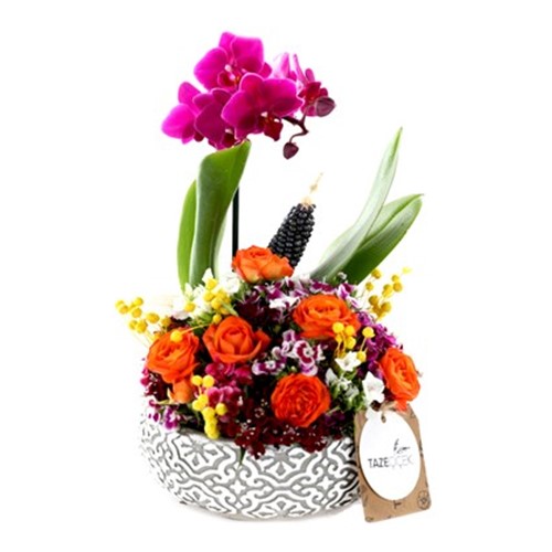 Spring Blossom Çiçek Arajmanı