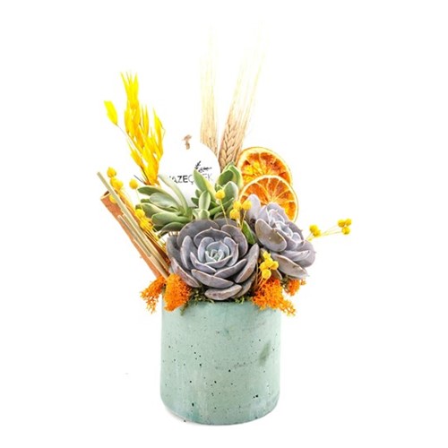 Spring Garden & Natural