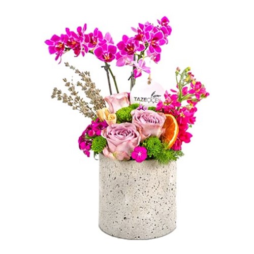 Spring Mood Orkide Aranjmanı