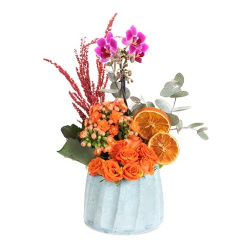 Sweet Smile Orkide Aranjmanı