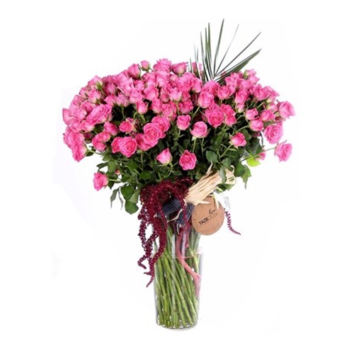 The Best Sweet Surprise Cam Vazoda Çiçek