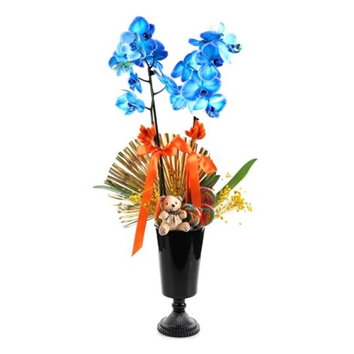 The Blue Orchid In The Candy