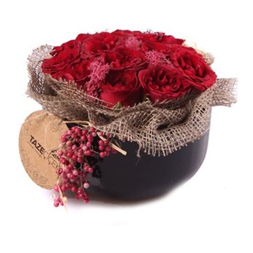 The Love Kırmızı Güller