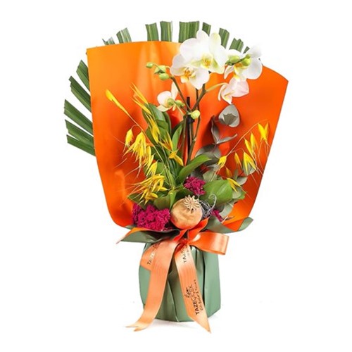 Vintage Smile Orkide