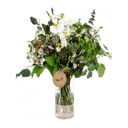 White Orkide & Sukulent