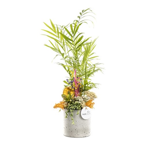 Zanta Bung Çiçek Arajmanı